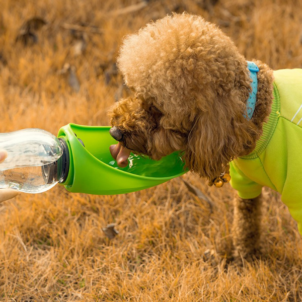 Quench Your Pet's Thirst Anywhere with the Portable Pet Water Bottle - Convenient Dispenser and Drinking Bowl Combo for Dogs and Cats!